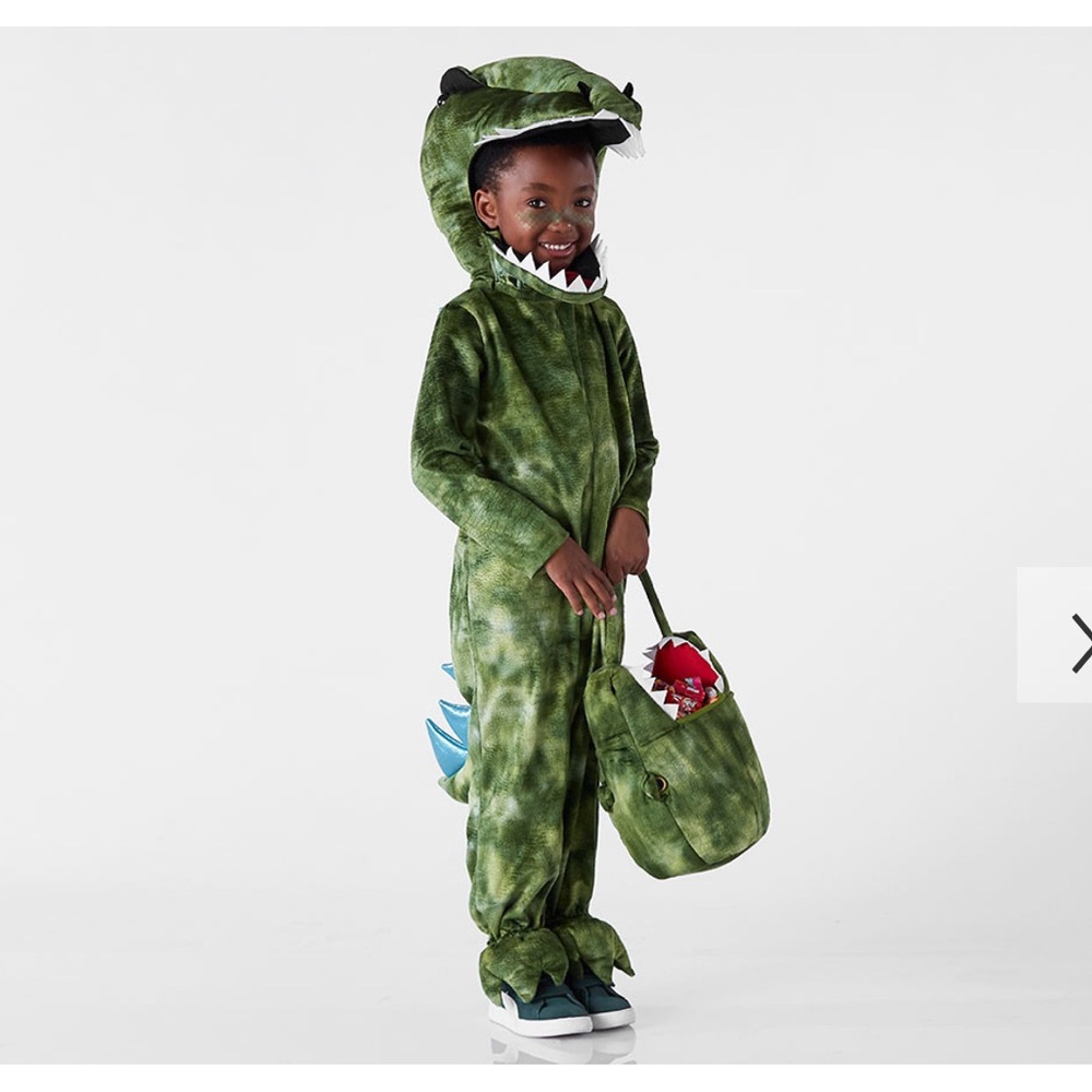 Pottery Barn Kids Light-Up T-Rex Halloween Costume